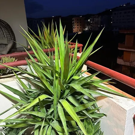 Light Holidays Apartman *