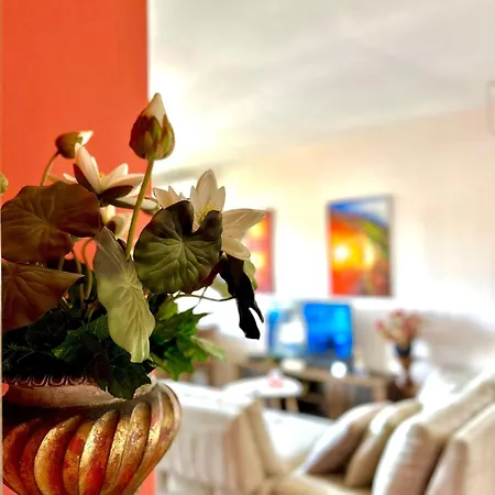 Light Holidays Апартаменты Голем
